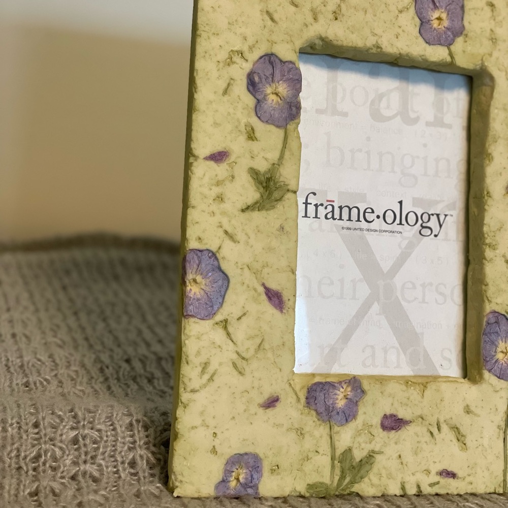 1999 Frameology Picture Frame